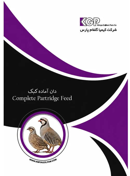 دان آماده کبک