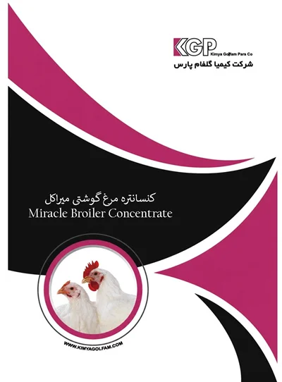 کنسانتره مرغ گوشتی میراکل