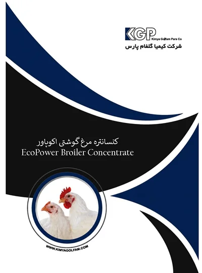 کنسانتره مرغ گوشتی اکوپاور