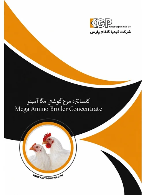 کنسانتره مرغ گوشتی مگا آمینو
